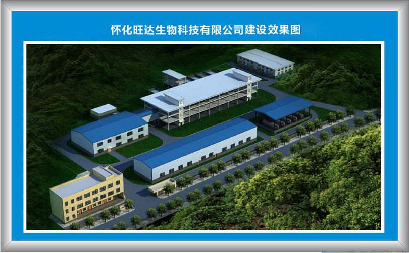 开云手机官方版在线入口